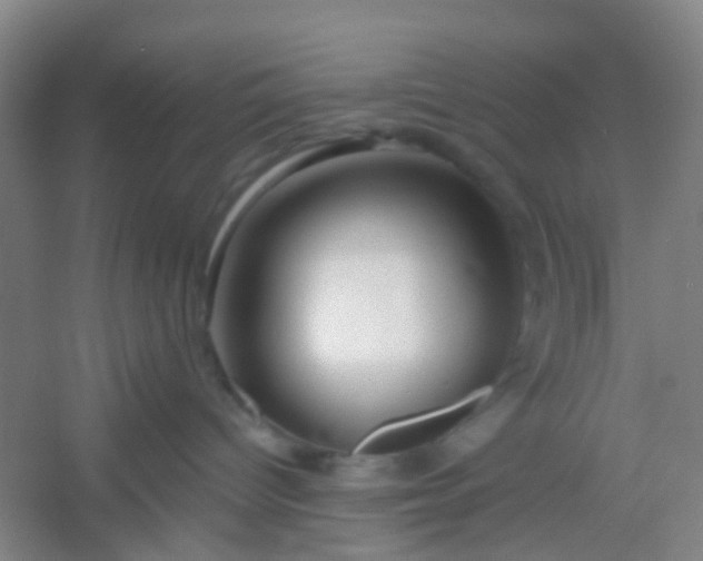 X0000054440096200508121856