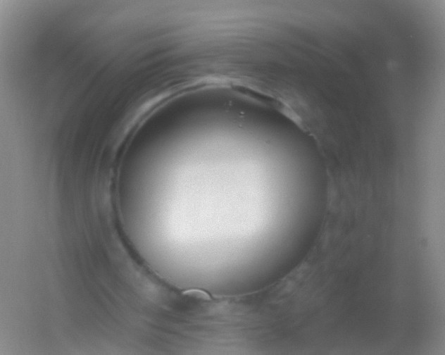 X0000054440098200508121855