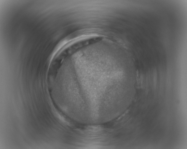 X0000054440099200508121855