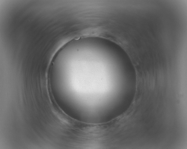 X0000054440100200508121855