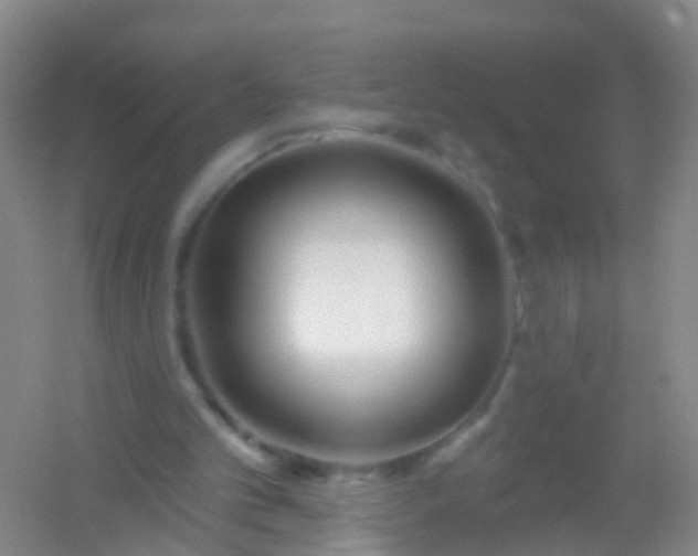 X0000054440101200508121855