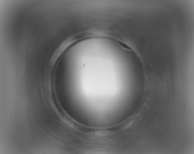 X0000054440103200508121855