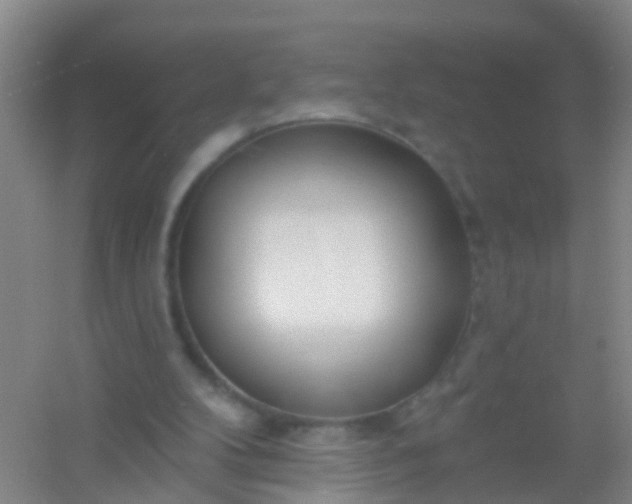 X0000054440104200508121855