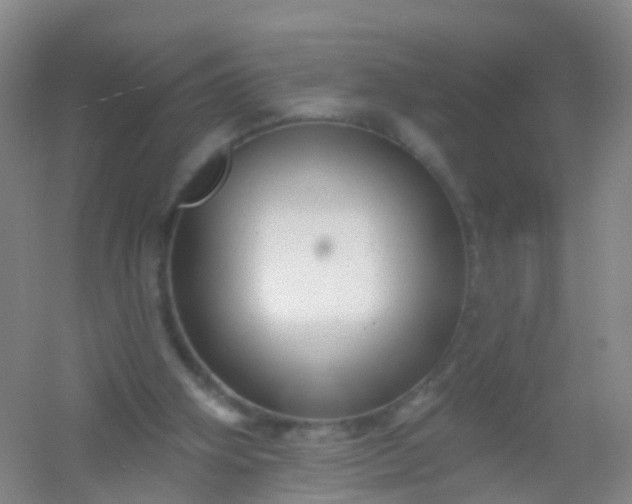 X0000054440106200508121855