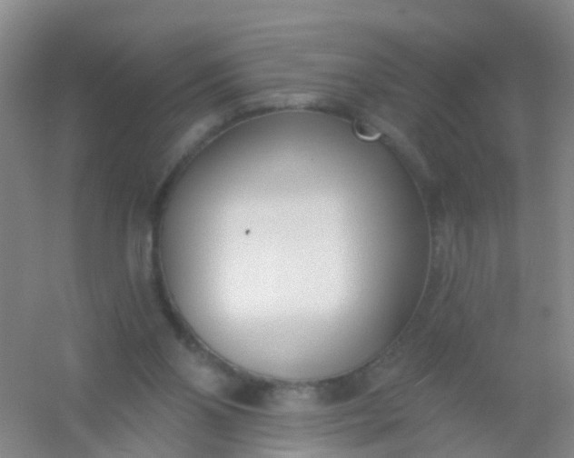 X0000054440110200508121855