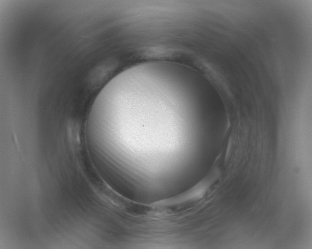 X0000054440115200508121855