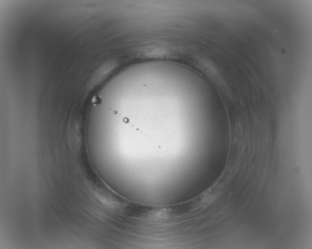 X0000054440116200508121855