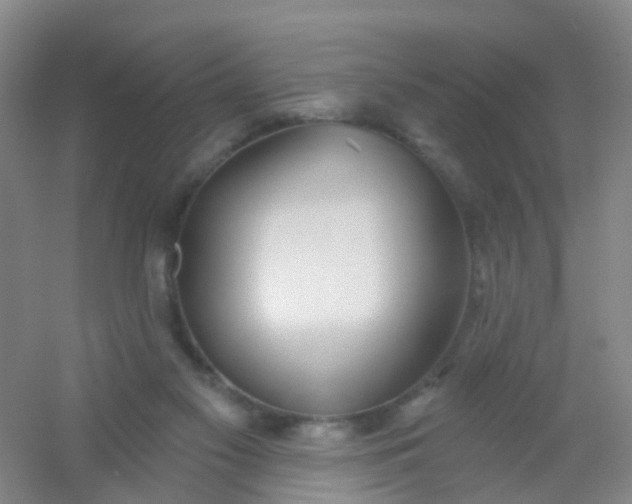 X0000054440117200508121855