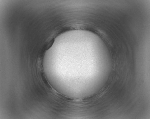 X0000054440121200508121855