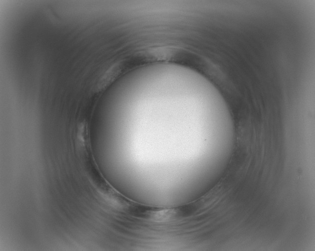 X0000054440122200508121855