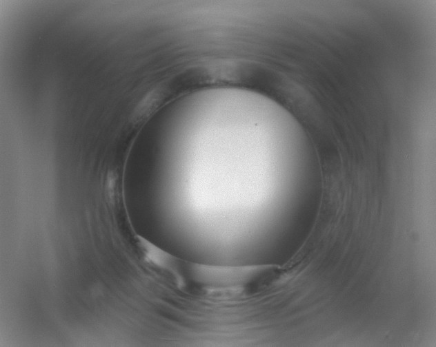 X0000054440123200508121855