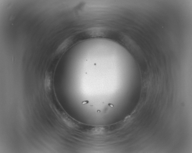 X0000054440124200508121855