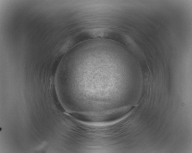 X0000054440125200508121855