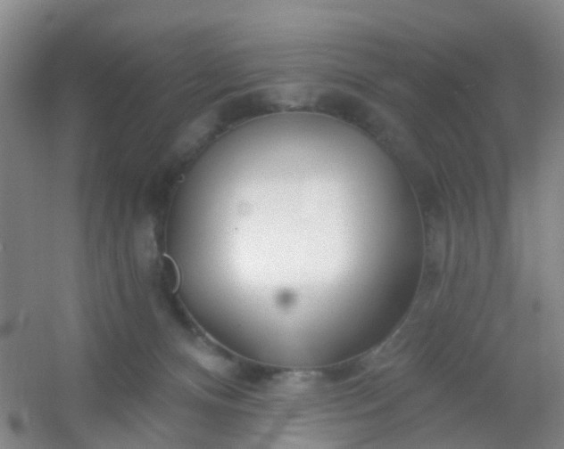 X0000054440128200508121855