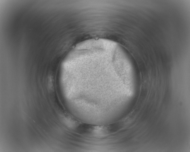 X0000054440130200508121854