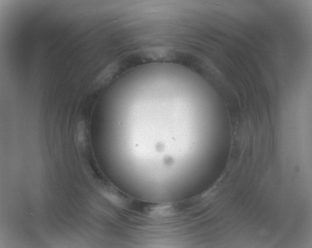 X0000054440132200508121854