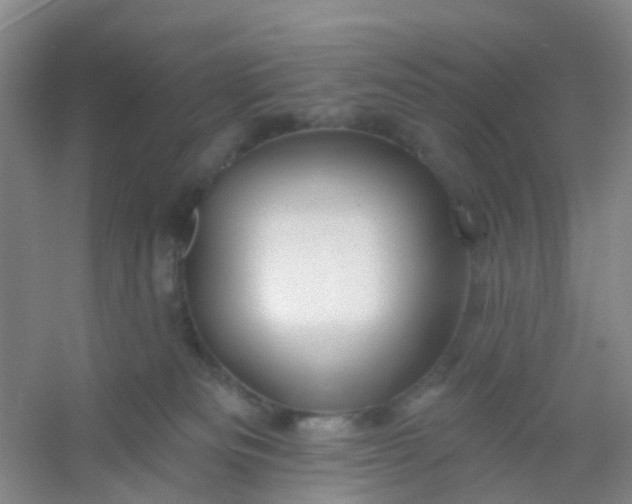 X0000054440133200508121854