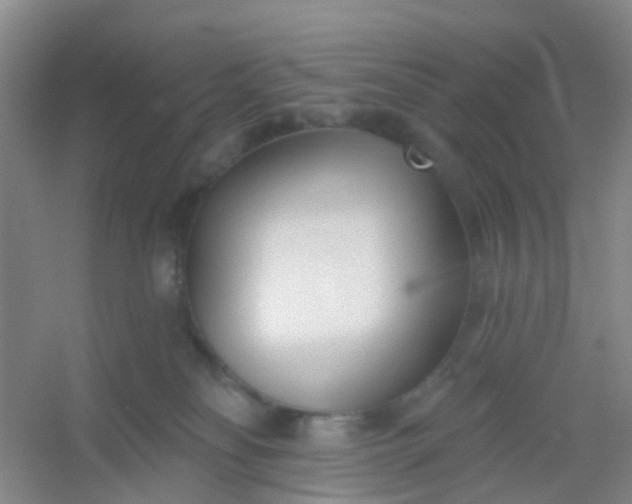 X0000054440134200508121854