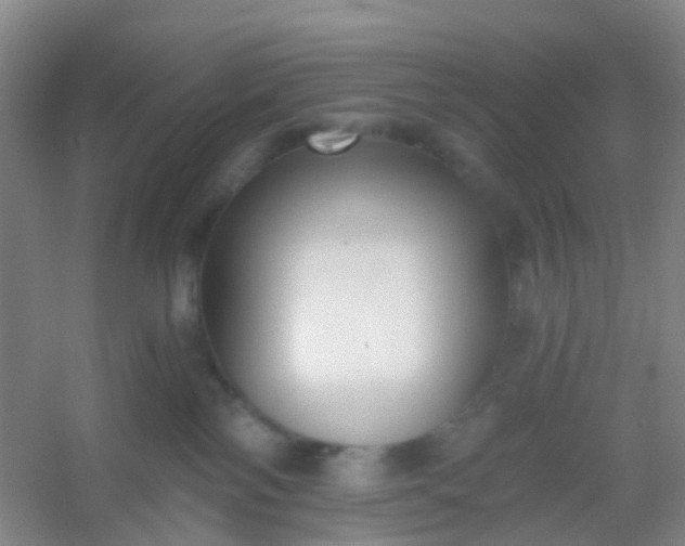 X0000054440138200508121854