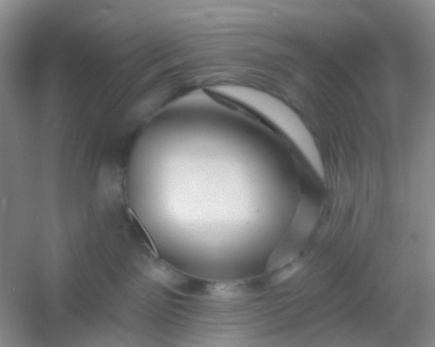 X0000054440141200508121854