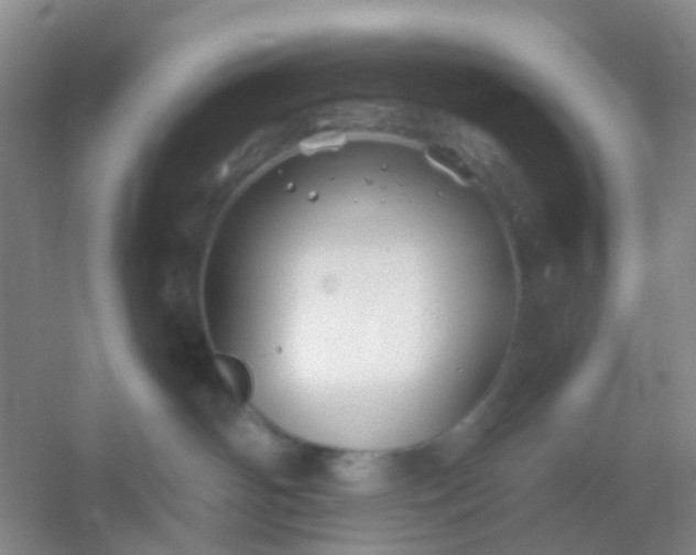 X0000054440142200508121854