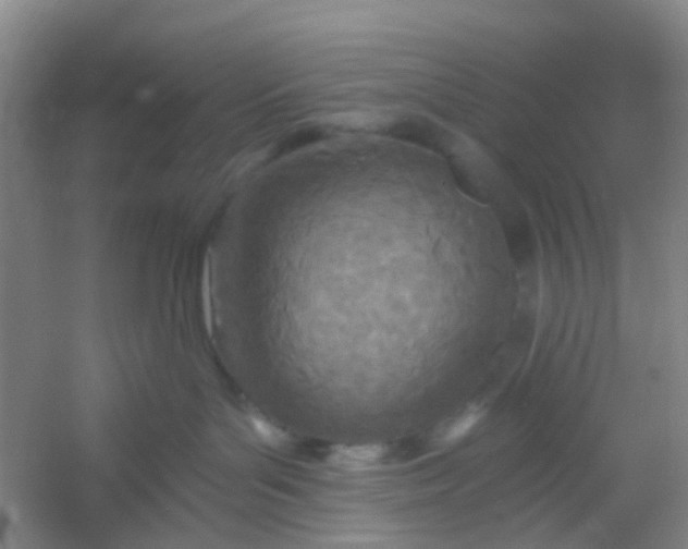 X0000054440143200508121854