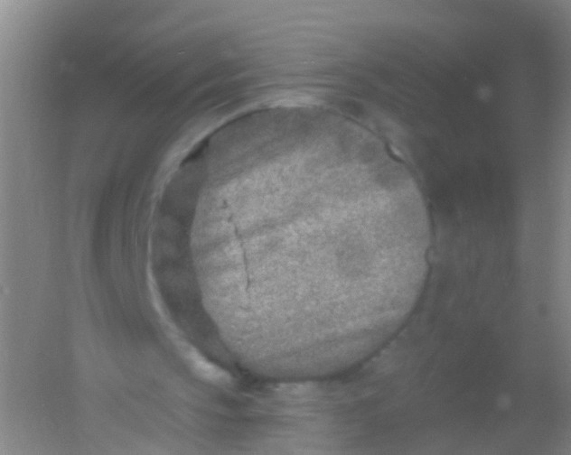 X0000054440145200508121853