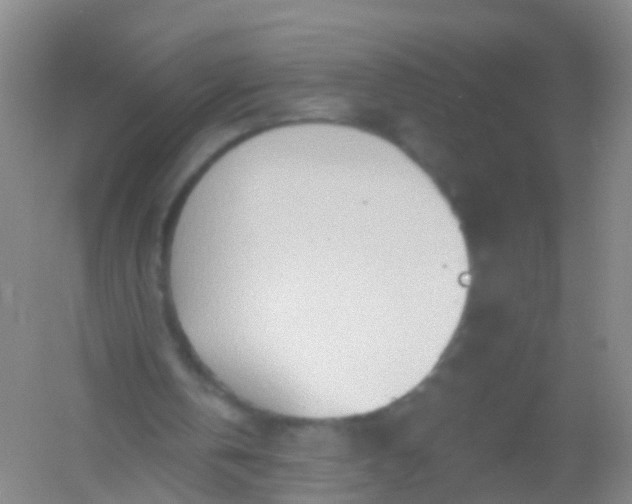 X0000054440146200508121853