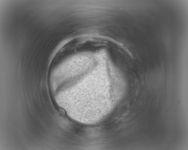 X0000054440147200508121853