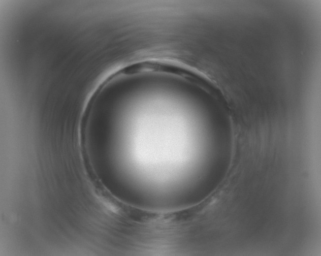 X0000054440148200508121853