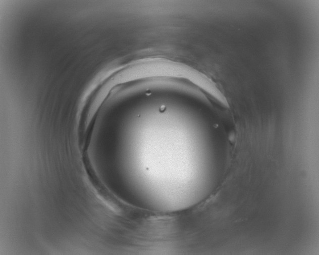 X0000054440150200508121853