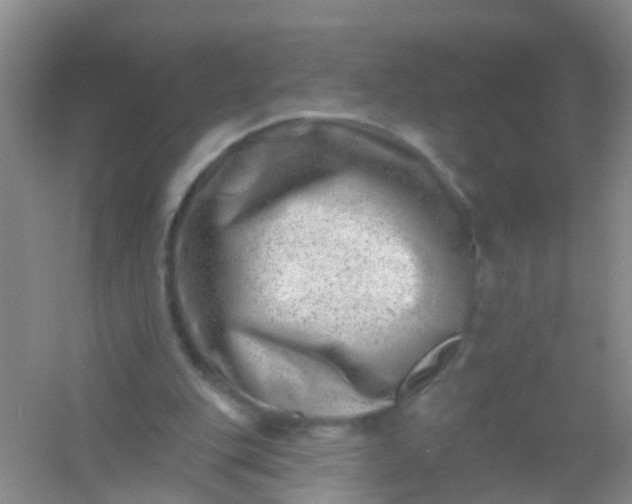 X0000054440151200508121854