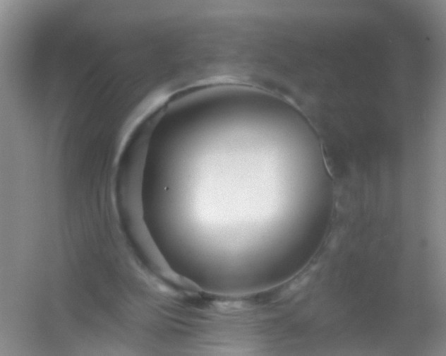 X0000054440152200508121854