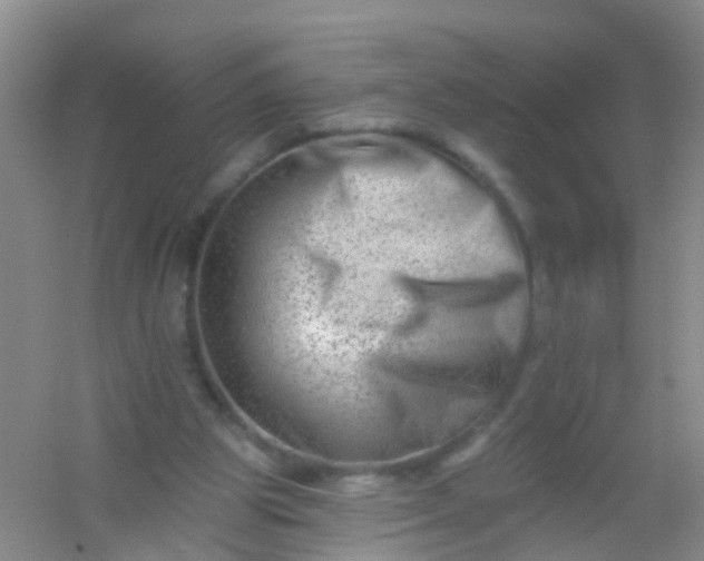 X0000054440153200508121854