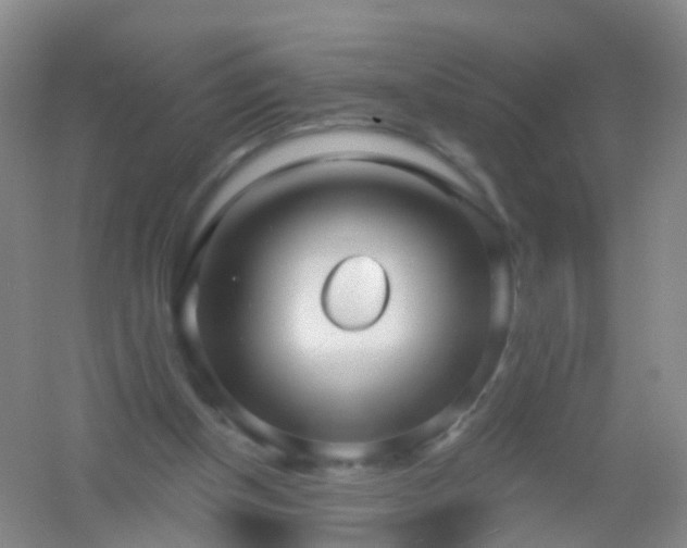 X0000054440154200508121854