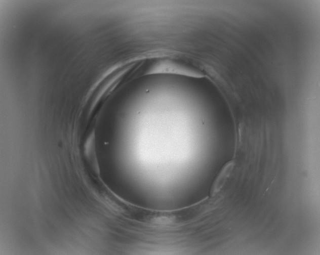 X0000054440156200508121854