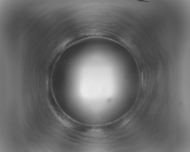 X0000054440157200508121854