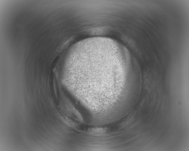 X0000054440161200508121854