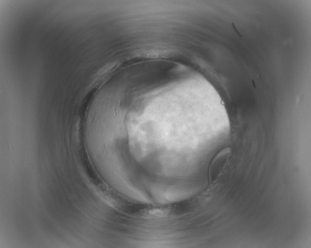 X0000054440163200508121854