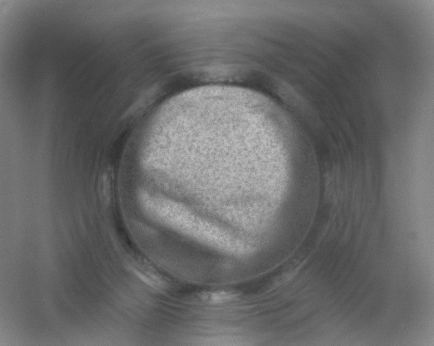 X0000054440165200508121854