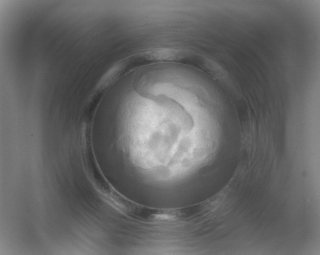 X0000054440167200508121854