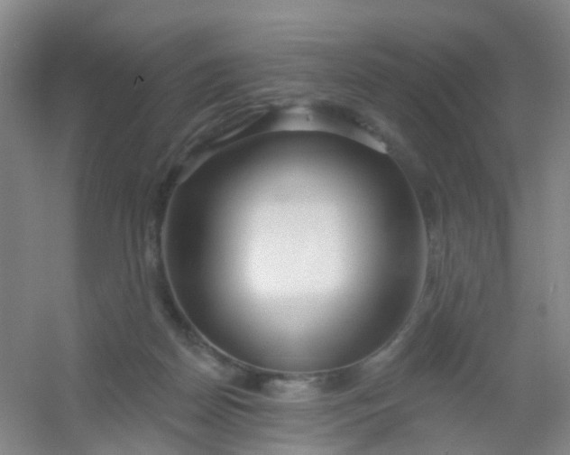 X0000054440170200508121854