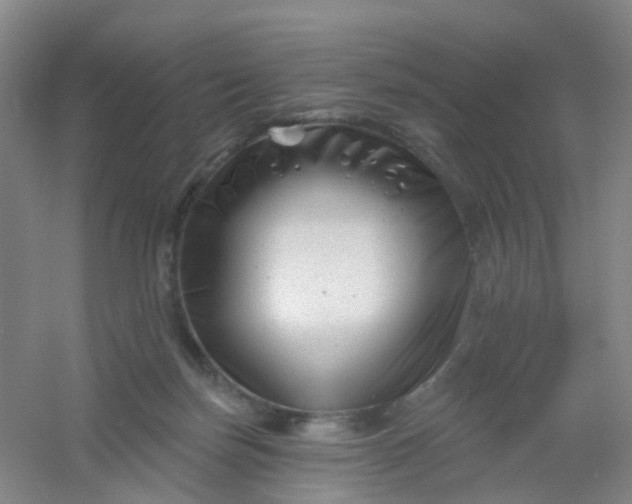 X0000054440171200508121854