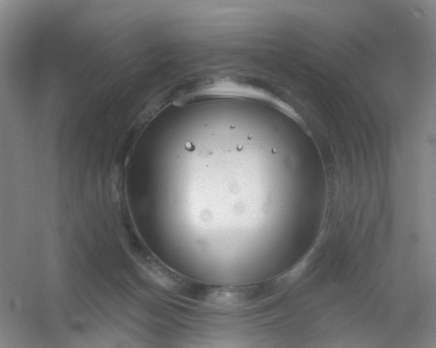 X0000054440174200508121854