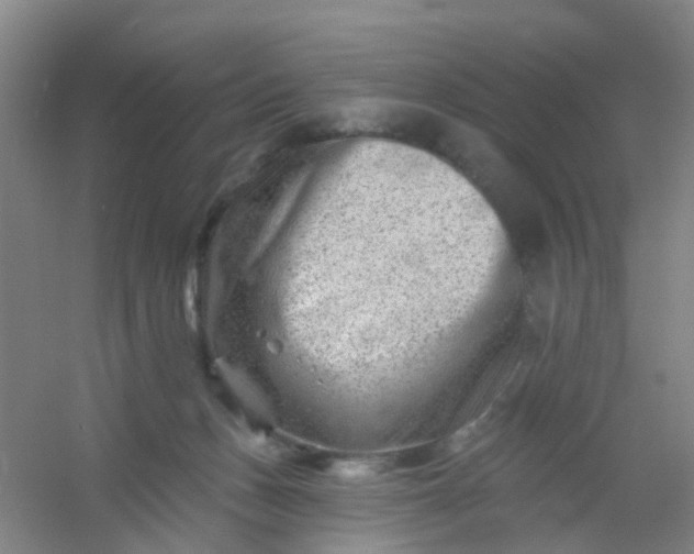 X0000054440175200508121854