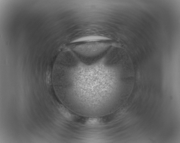 X0000054440177200508121854