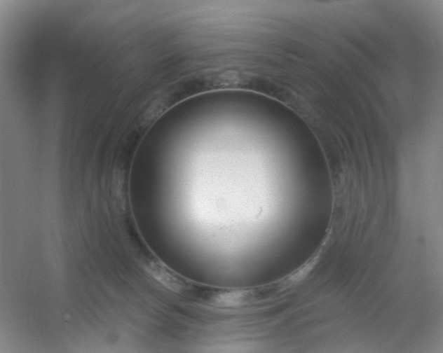 X0000054440178200508121854