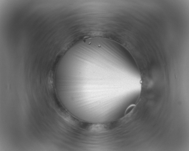 X0000054440179200508121854