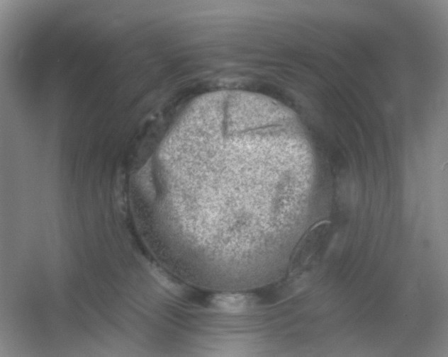 X0000054440181200508121854