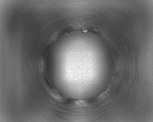 X0000054440183200508121854